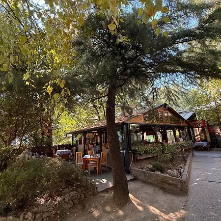 Апартаменти Reina With Free Parking