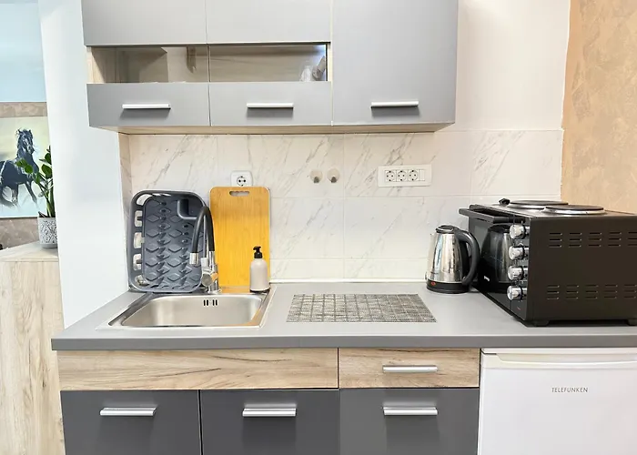 Reina With Free Parking Skopje